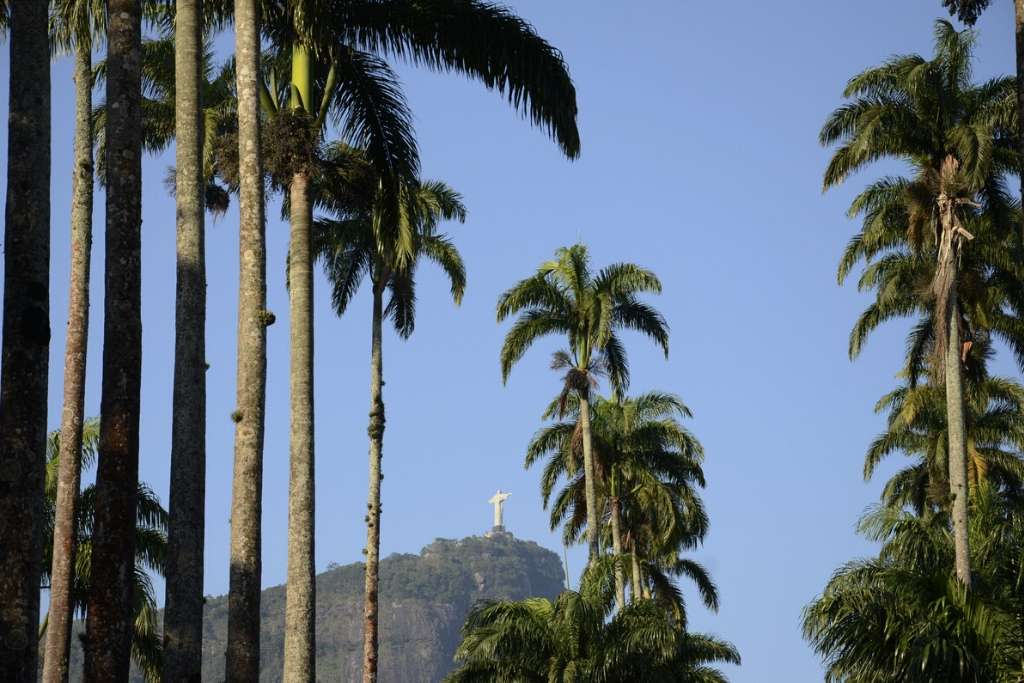 Top 5 nature places to visit in Rio