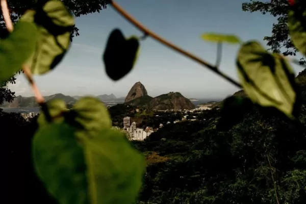 Read more about the article Top 5 places surrounded by nature to visit in Rio