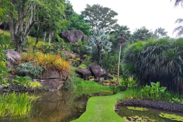 Read more about the article A small paradise called Sitio Roberto Burle Marx