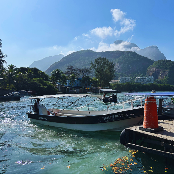 Gigóia Island: Boat ride and Walking Tour to Rio's Pantanal